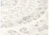 A.S. Création - Versace Wallpaper IV #37055-5 vliesová tapeta s vinylovým povrchom krbyonline