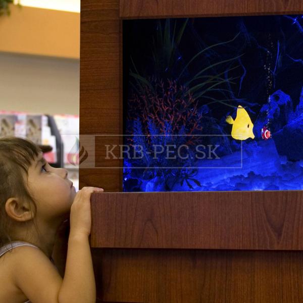 Dimplex Opti-v aquarium